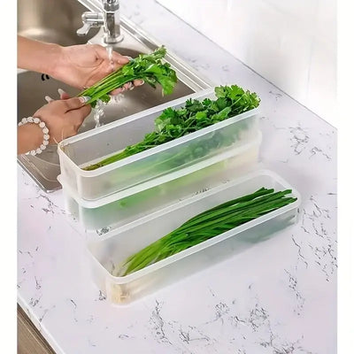 Small sealed food preservation containers for fridge