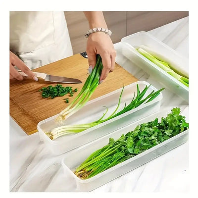 Small sealed food preservation containers for fridge