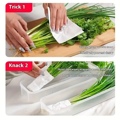 Small sealed food preservation containers for fridge