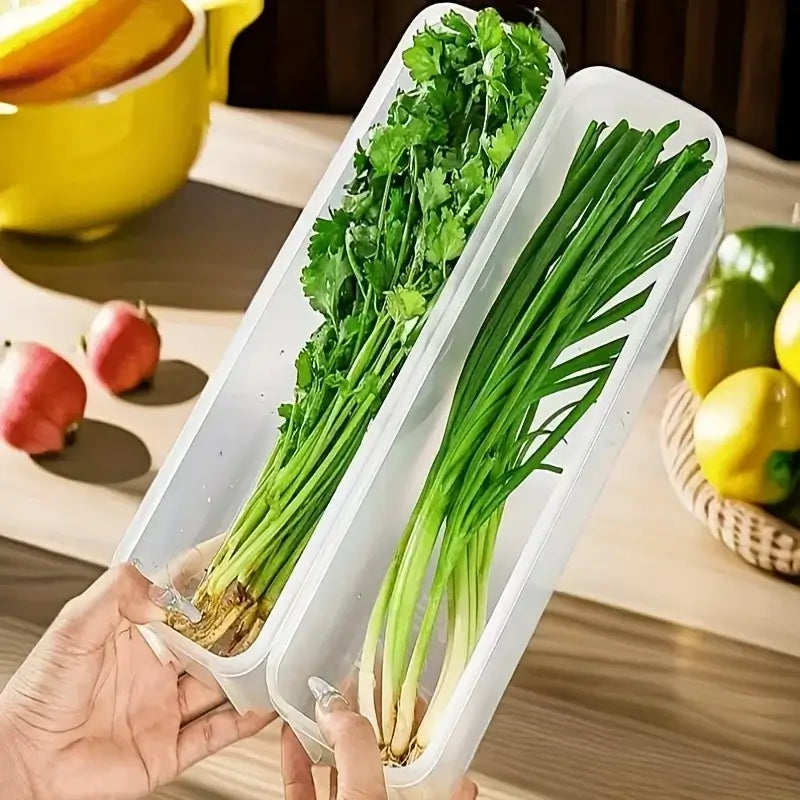 Small sealed food preservation containers for fridge