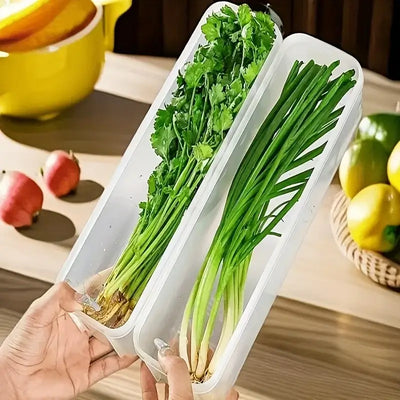 Small sealed food preservation containers for fridge
